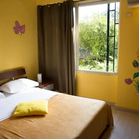 Rainbow Bed and Breakfast